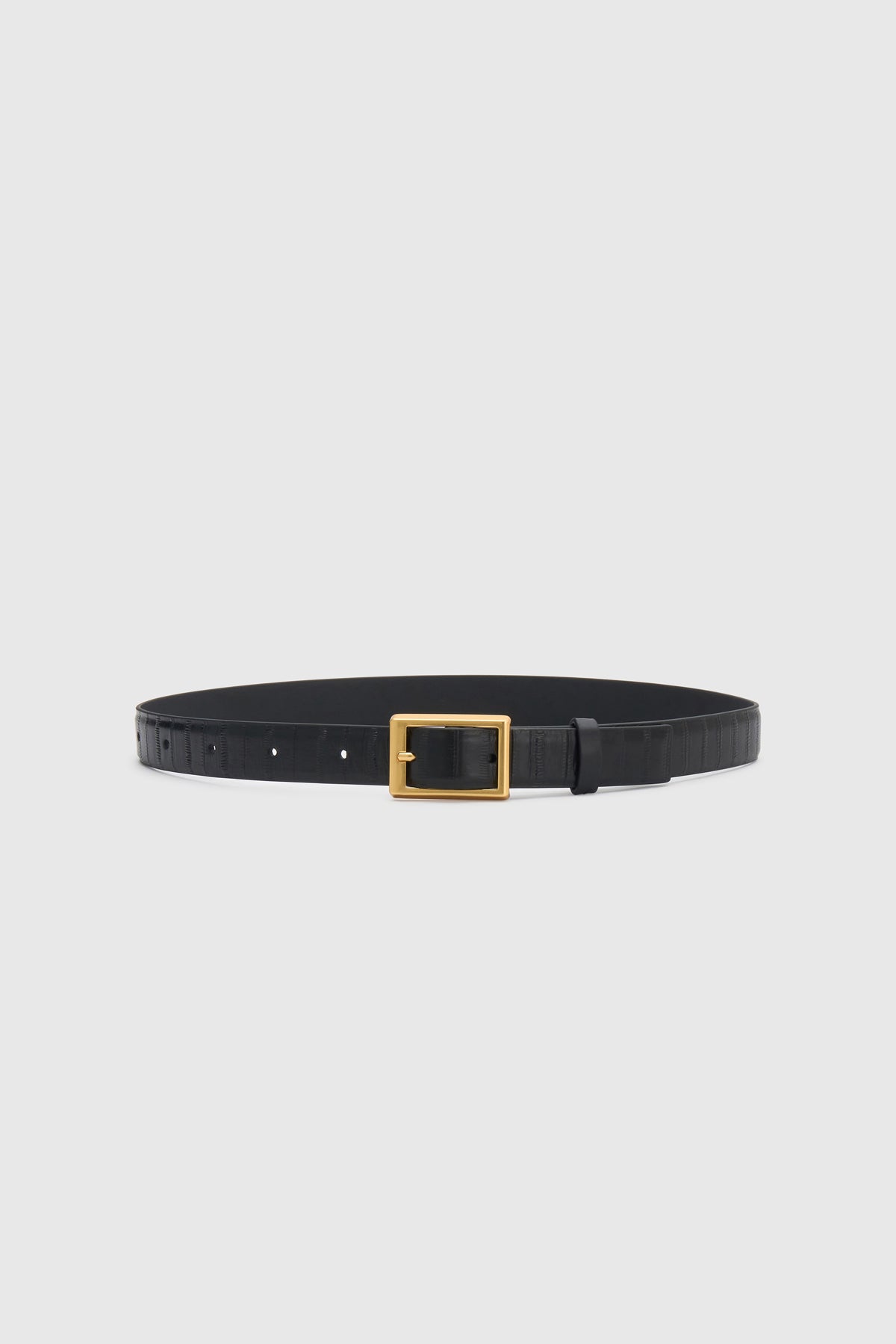Ghost view CAMILLA AND MARC Sonny Eel Belt in Black leather with textured eel embossing.
